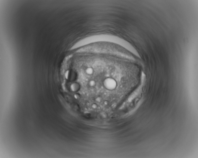 X0000115160182200911241556