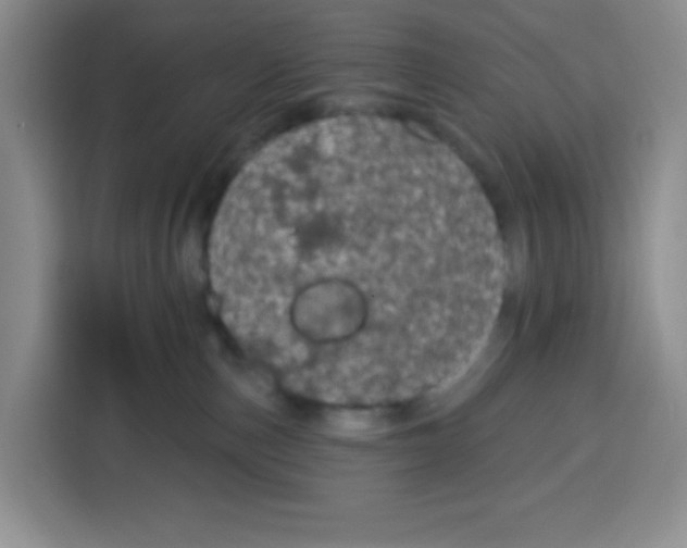 X0000115160187200911241556