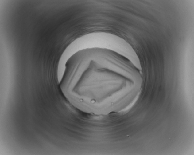 X0000115160190200911241556