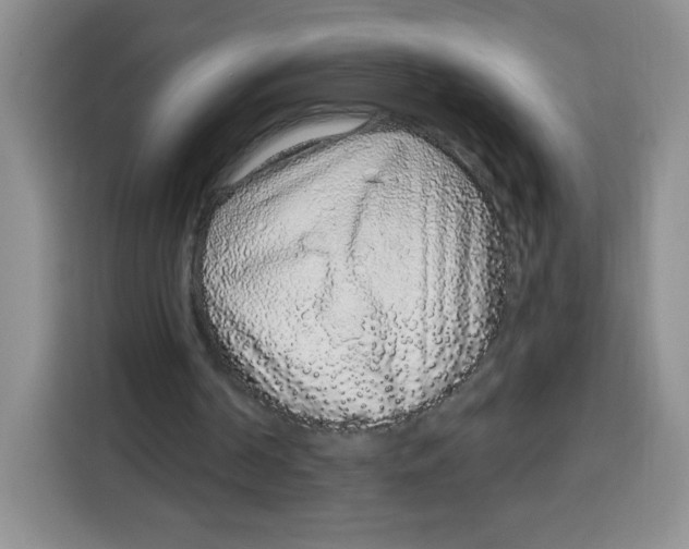 X0000115160194200911241556