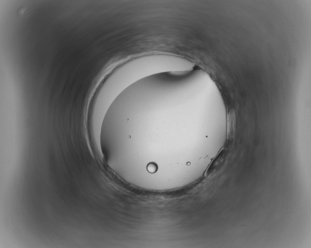 X0000115160195200911241556