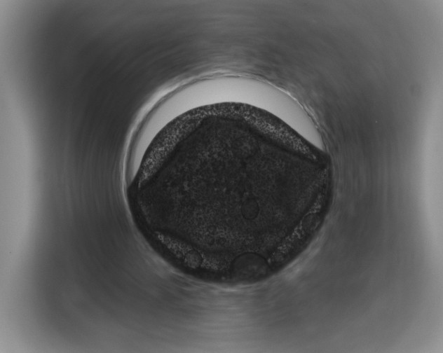 X0000115160196200911241556