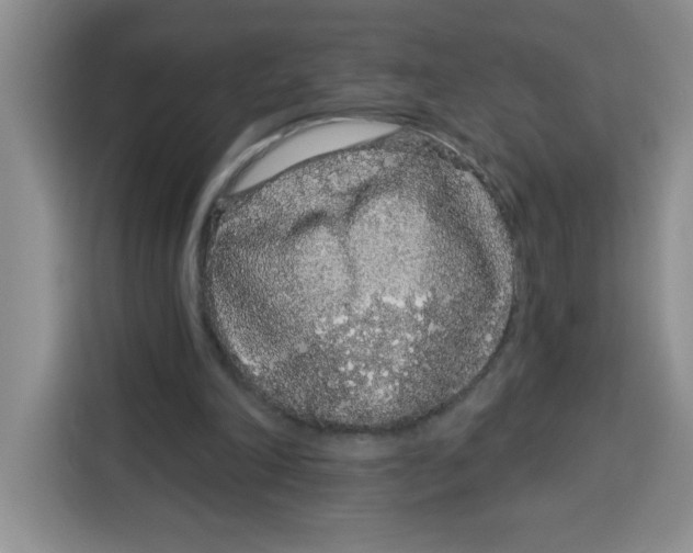 X0000115160198200911241556