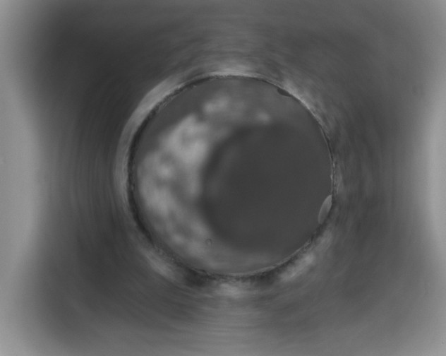 X0000115160199200911241556