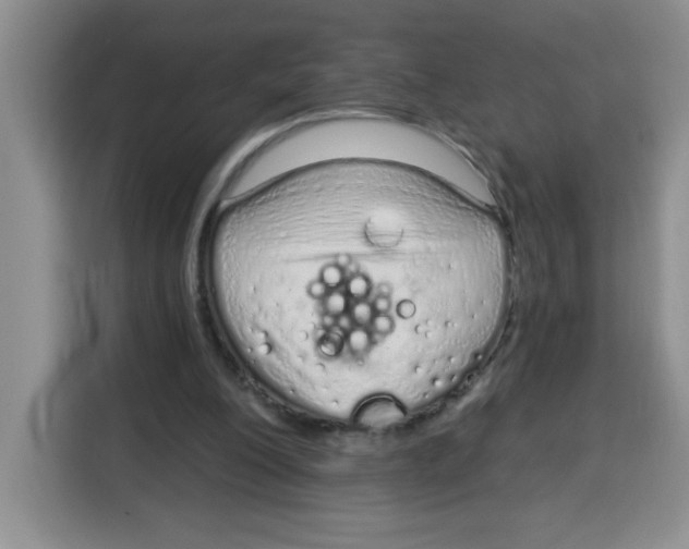 X0000115160200200911241556