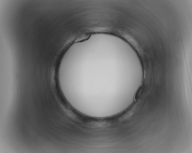 X0000115160201200911241556