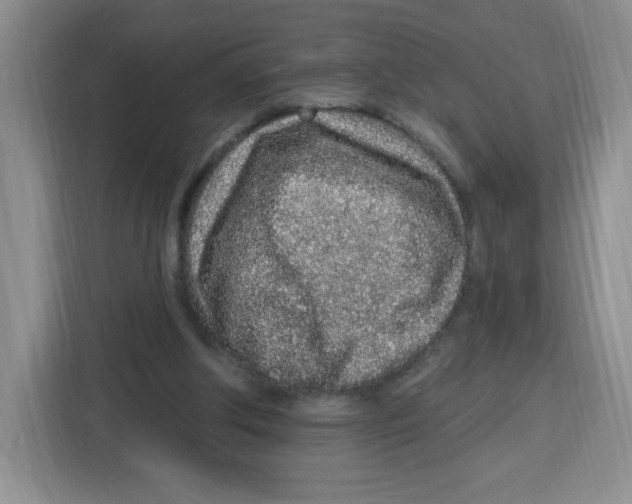 X0000115160202200911241555