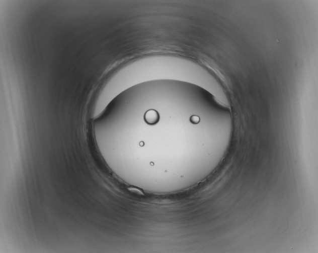 X0000115160203200911241555