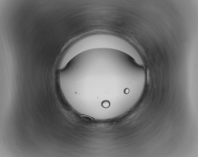 X0000115160204200911241555