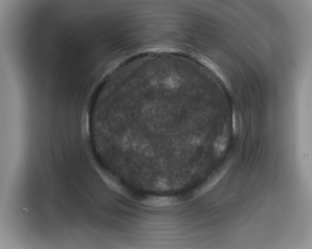 X0000115160205200911241555