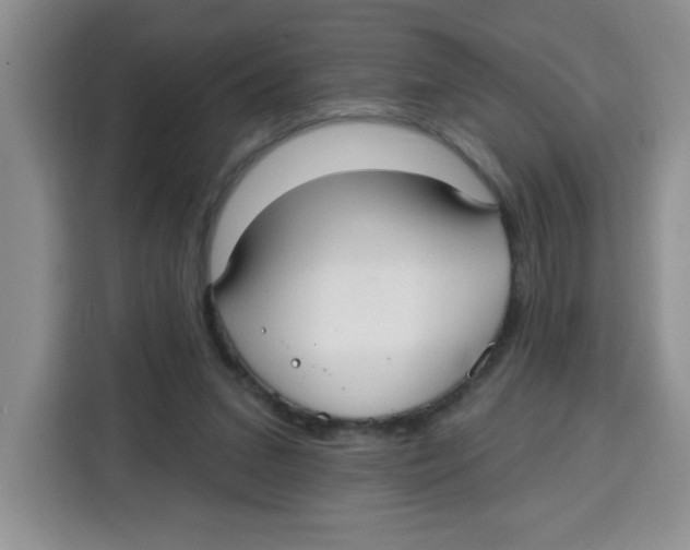 X0000115160207200911241555