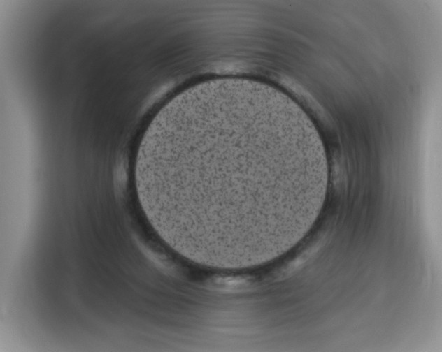 X0000115160208200911241555