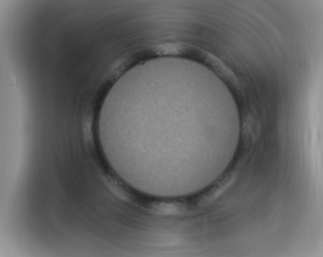 X0000115160209200911241555