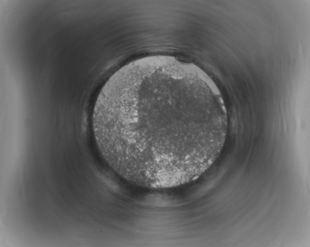 X0000115160211200911241555