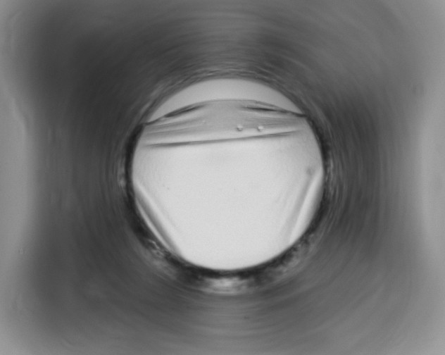 X0000115160212200911241555