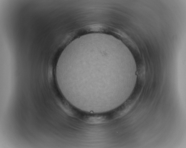 X0000115160213200911241555