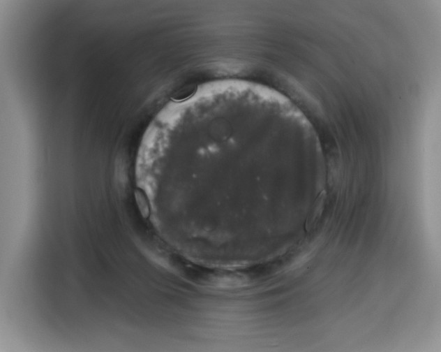 X0000115160215200911241555