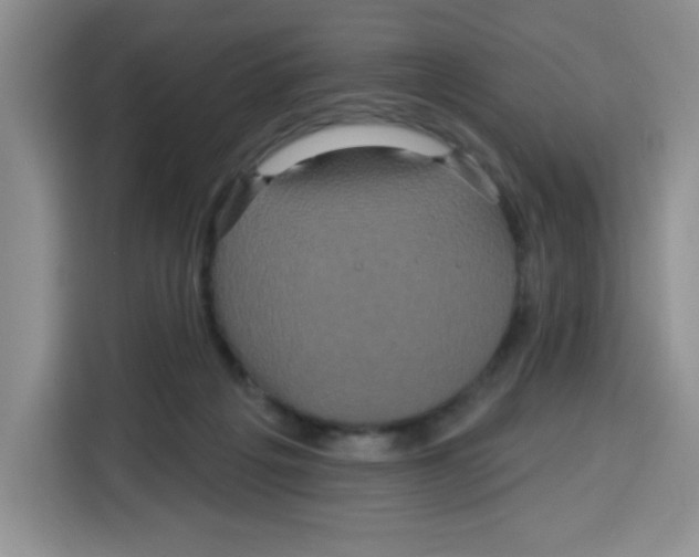 X0000115160217200911241555