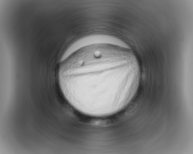 X0000115160220200911241555