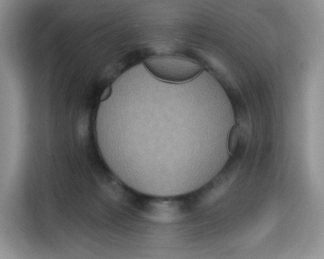 X0000115160221200911241555