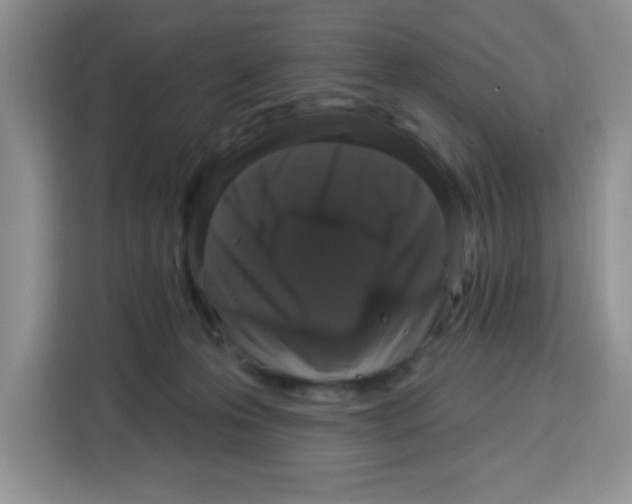 X0000115160223200911241555