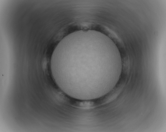 X0000115160225200911241555