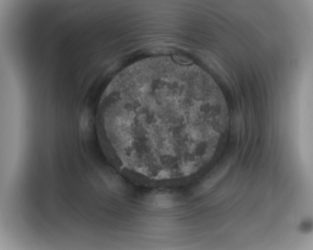 X0000115160228200911241555