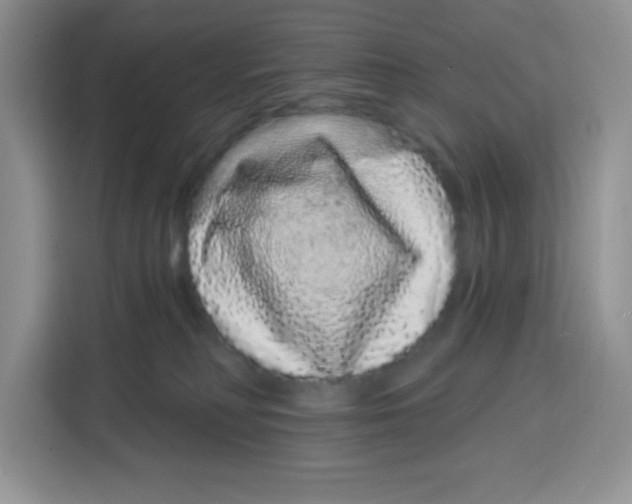 X0000115160230200911241555