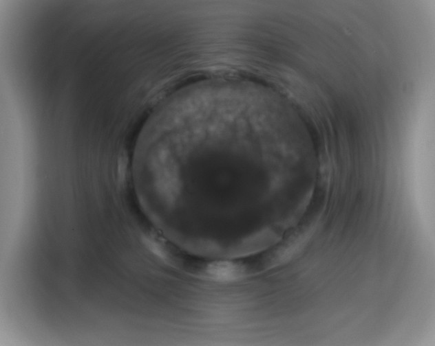 X0000115160231200911241555