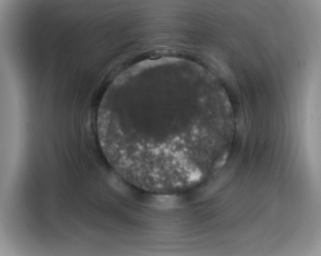 X0000115160233200911241555