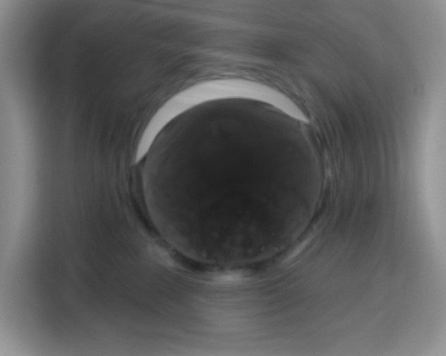 X0000115160235200911241555