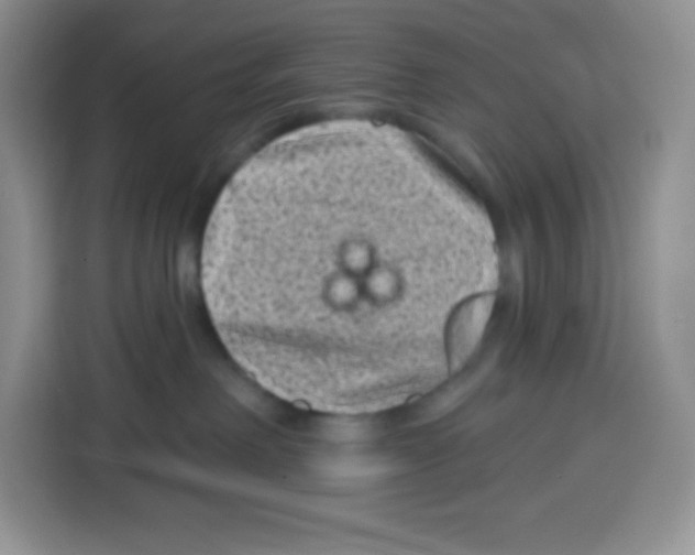 X0000115160238200911241555