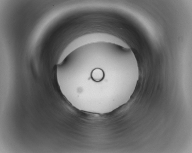 X0000115160239200911241555