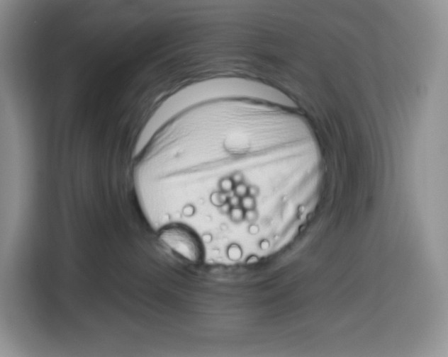 X0000115160240200911241555