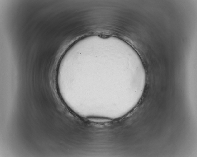 X0000115160241200911241554