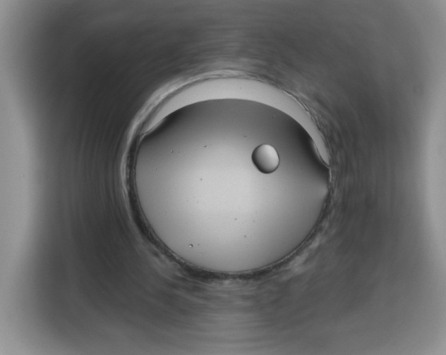 X0000115160244200911241554