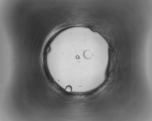 X0000115160246200911241554