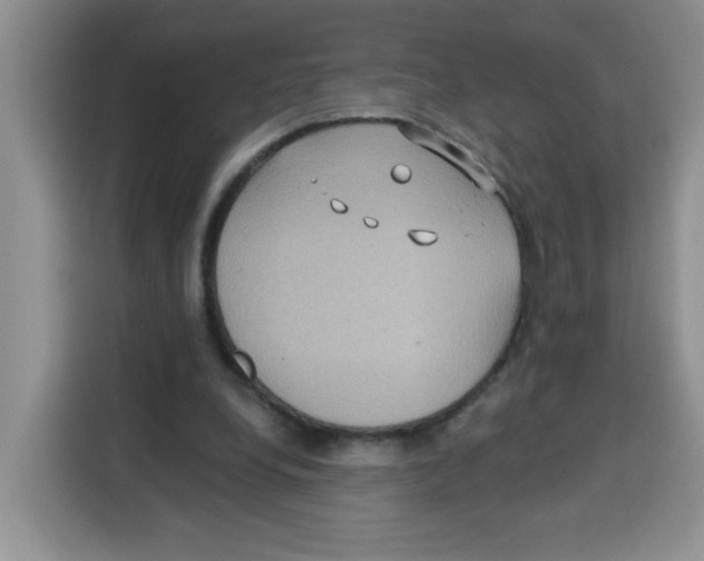 X0000115160248200911241554