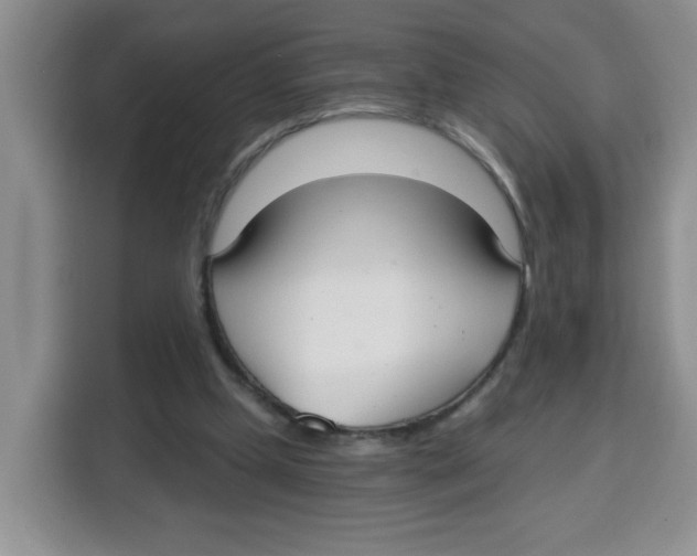 X0000115160249200911241554