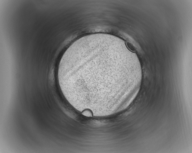 X0000115160250200911241554