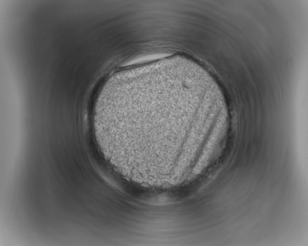 X0000115160254200911241555