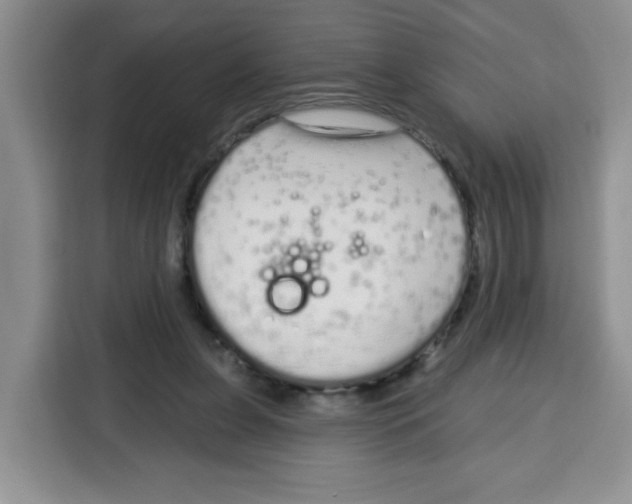 X0000115160255200911241555