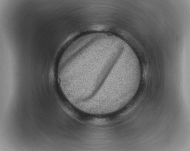 X0000115160256200911241555