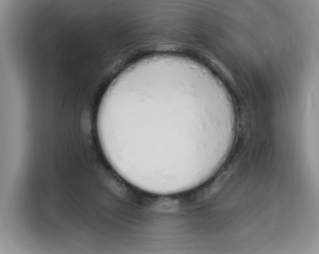 X0000115160257200911241555