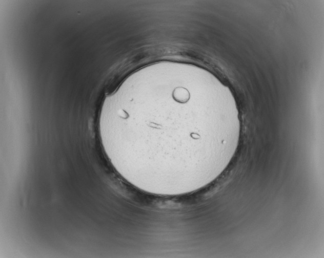 X0000115160258200911241555