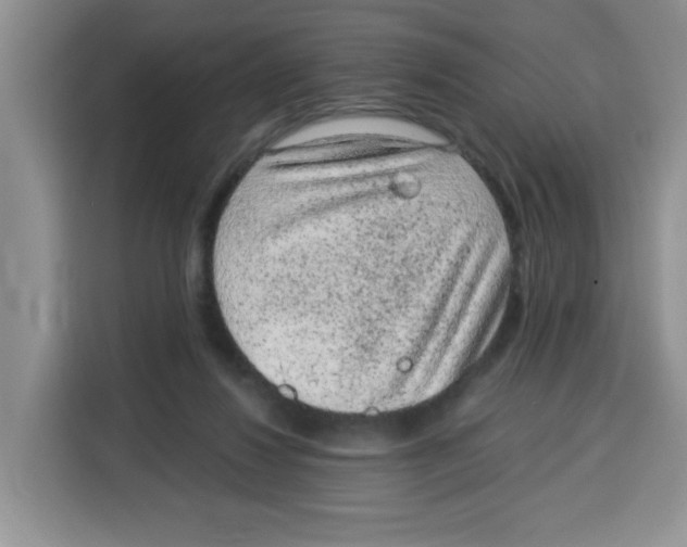 X0000115160260200911241555