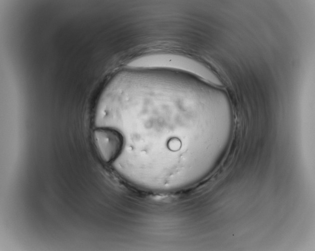 X0000115160261200911241555