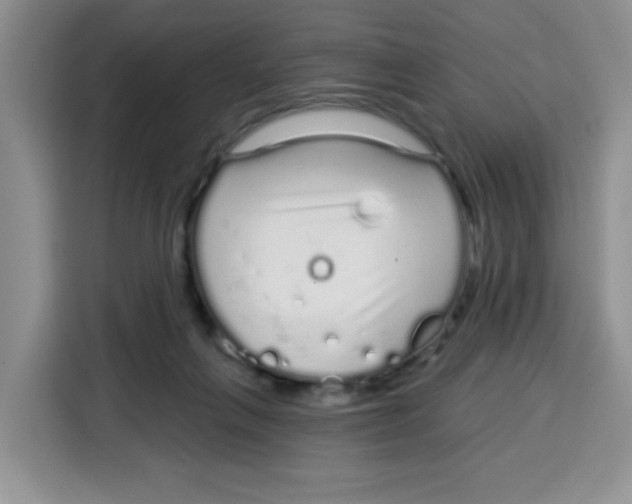 X0000115160263200911241555