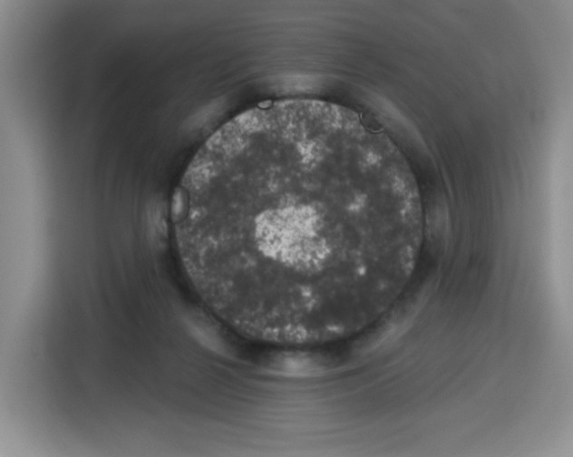 X0000115160264200911241555