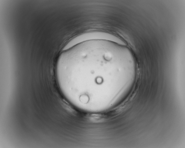 X0000115160265200911241555